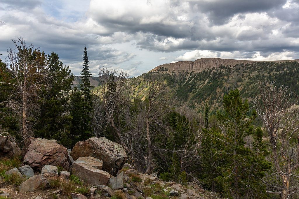 Looking east from the lookout towards Coffin Mountain (9,071′). Cedron Jones recommends a route which loops up to Sheep Point from the lake, around the ridge to Coffin Mountain, and then back down to the trail.