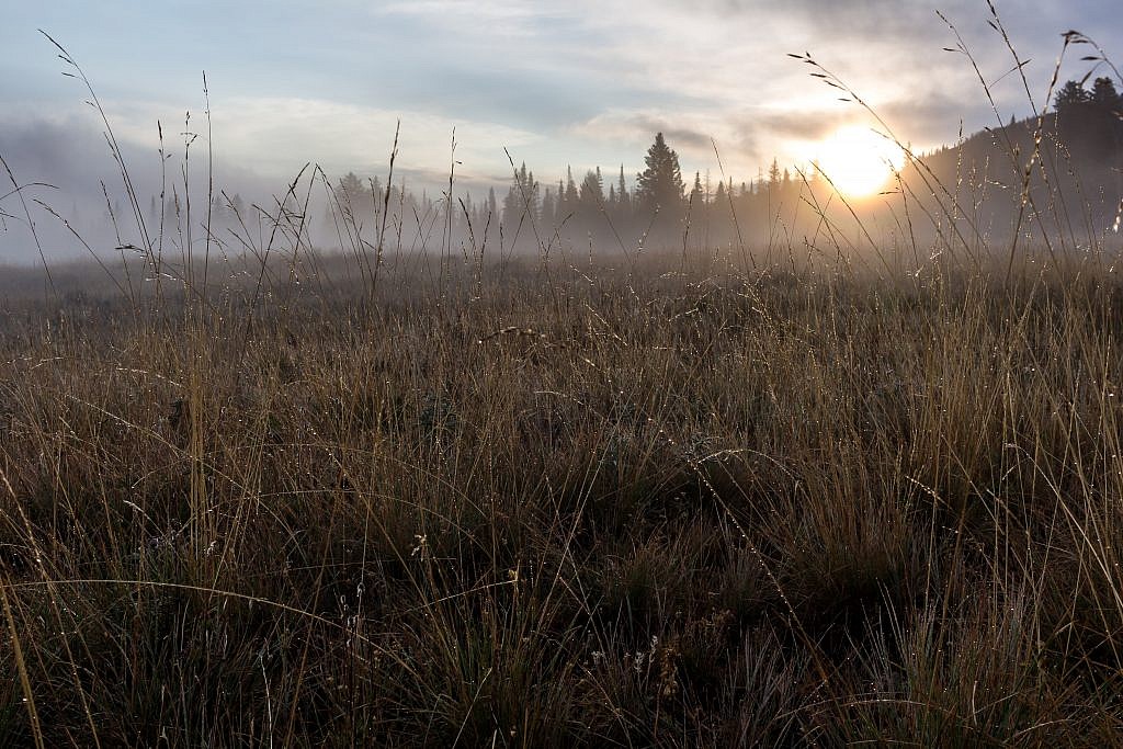 Early morning sunrise shot from near my campsite.