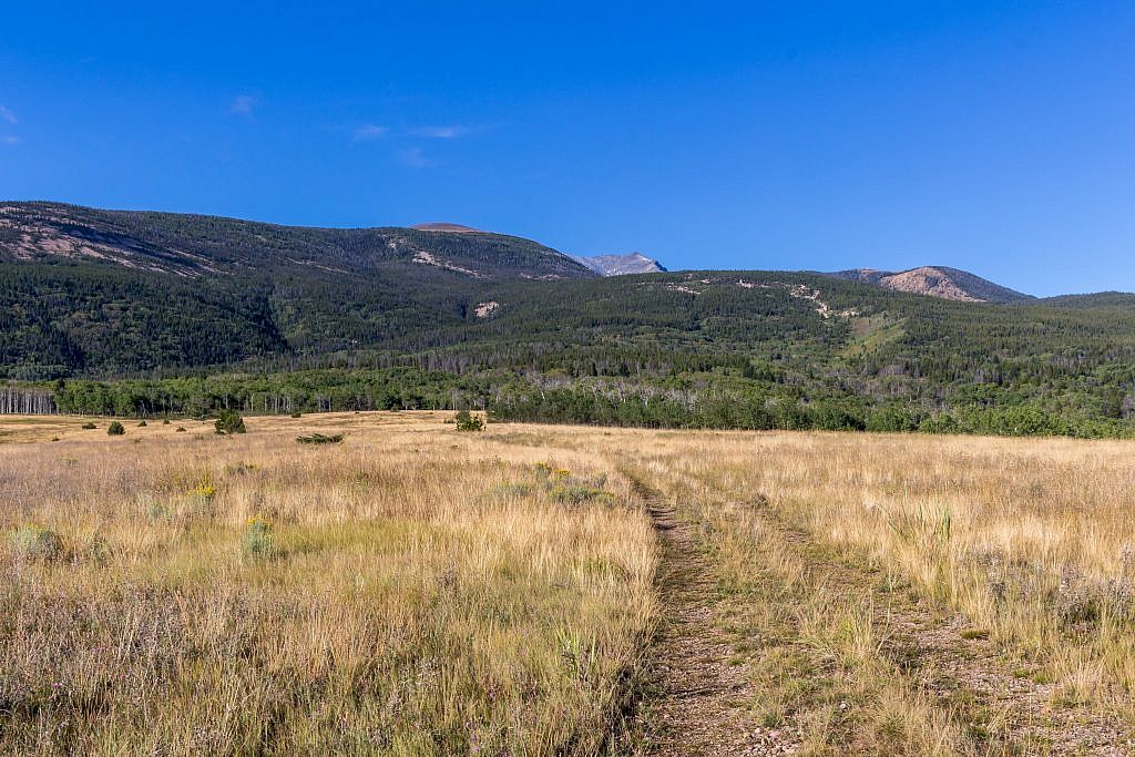 The hike starts with a short jaunt through open grasslands before entering the trees and staying shaded the rest of the way to Hearst Lake 6 miles in. You can just barely see Haggin peaking out in the center of picture.