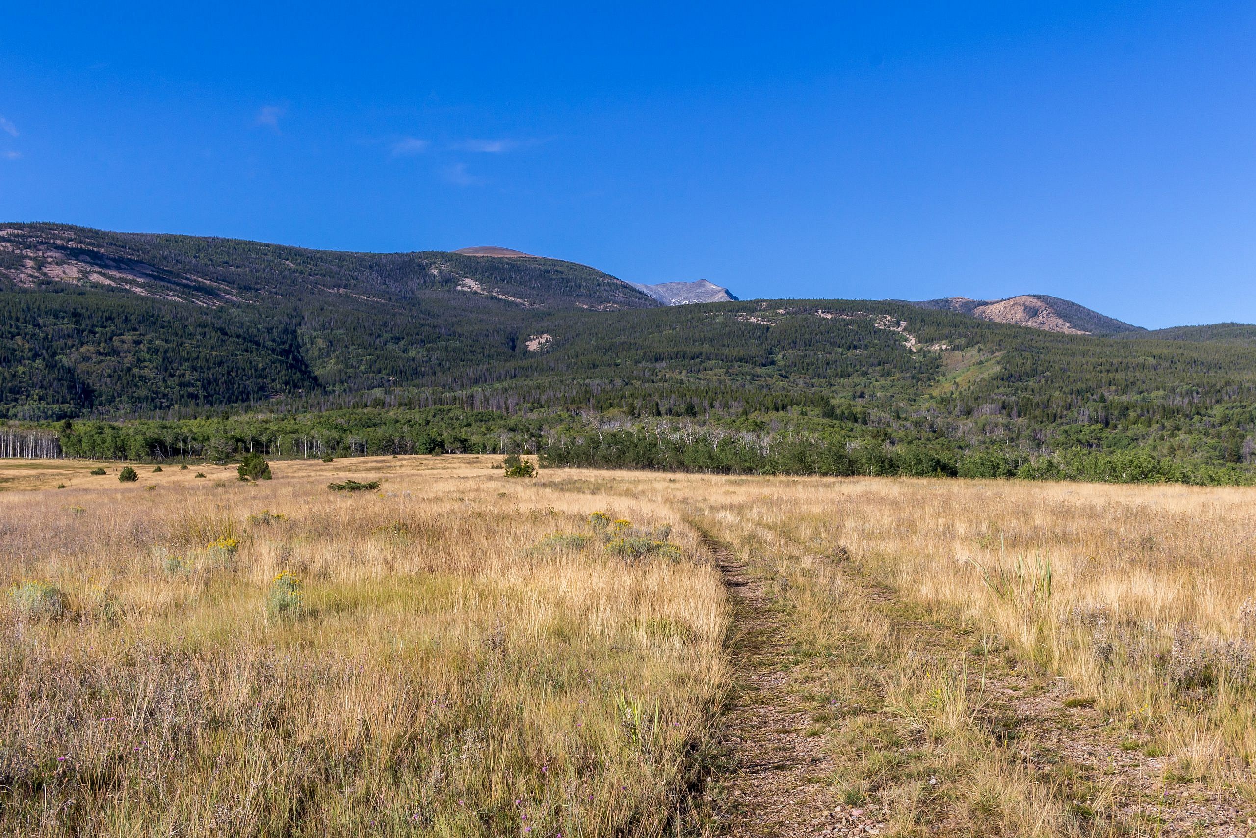 Mount Haggin | Nature's Course - Inspire . Prepare . Preserve