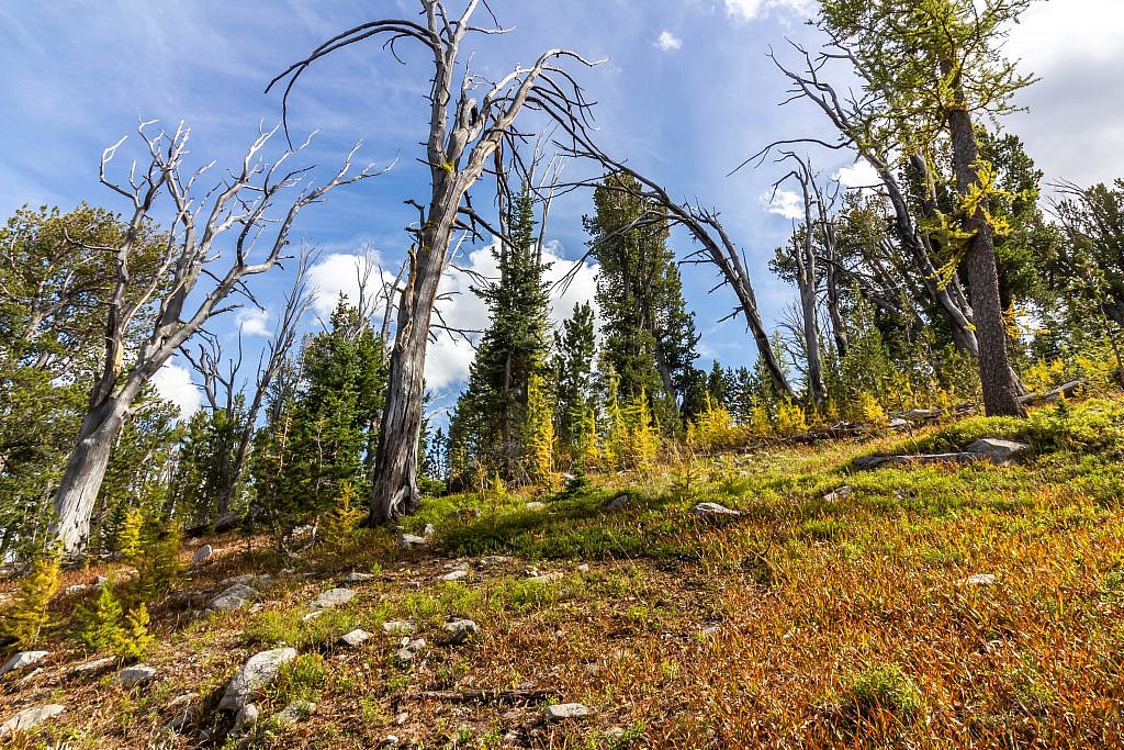 The sun briefly showed its face right after ditching the trail.