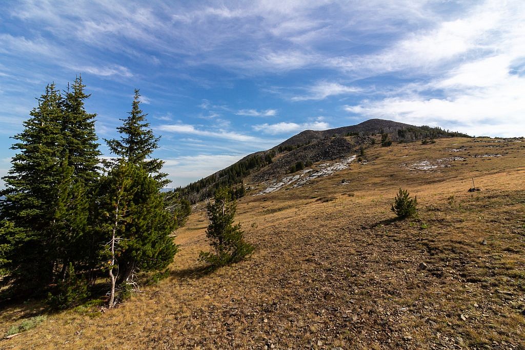 First view of Elkhorn Peak after emerging from the woods. From here you can follow a faint spur trail all the way to the summit.