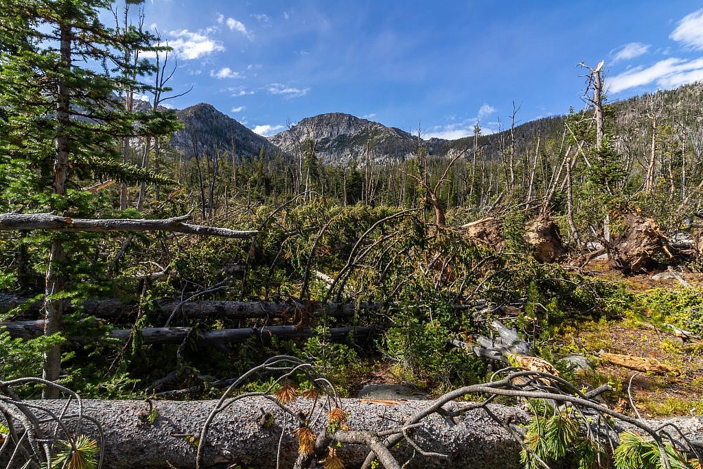 The giant obstruction near the north end of Hollowtop Lake. My theory is that this was caused by a microburst but I can’t be sure. To get through I headed right until I found a small gap in the trees and then clawed my way through.