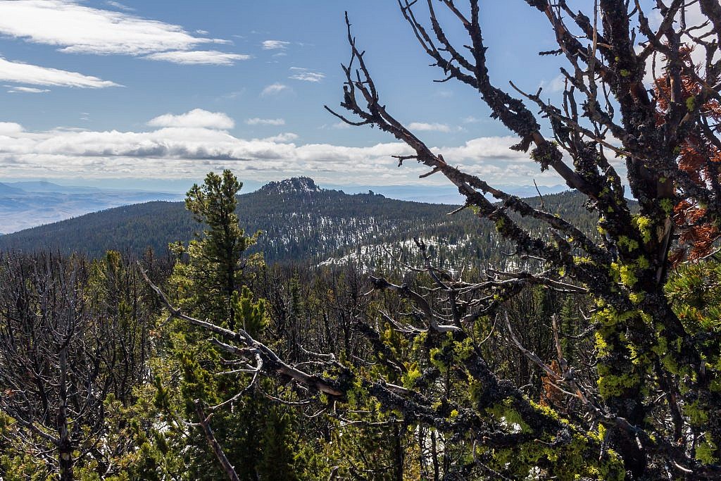 Elk Peak.