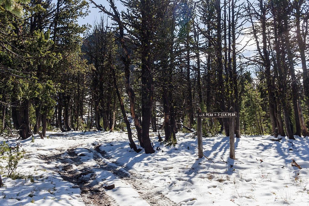 The base of Elk Peak. From here’s it’s a simple and fun off-trail scramble up some boulders to the summit.