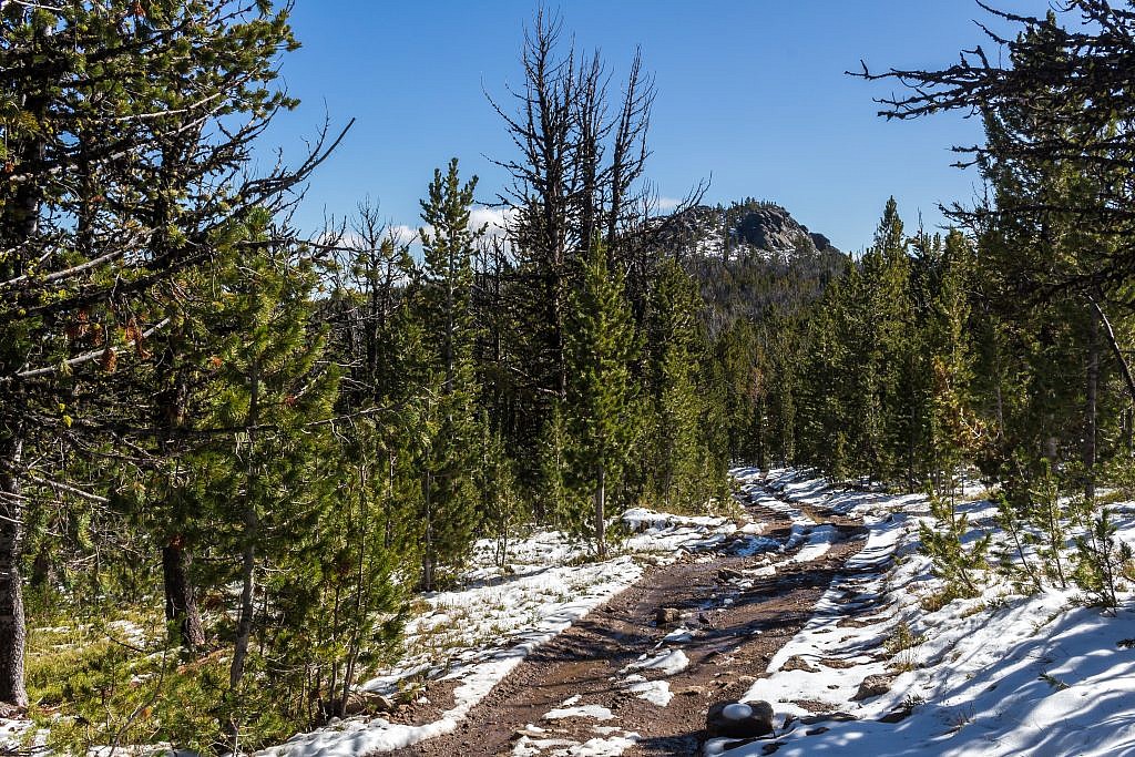 The final stretch of road between Elk Peak and Wapiti Peak.