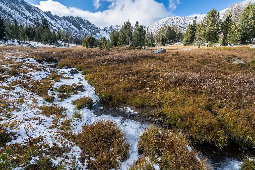 A small creek parallels the trail as you pass through beautiful subalpine meadows on the way to the saddle.