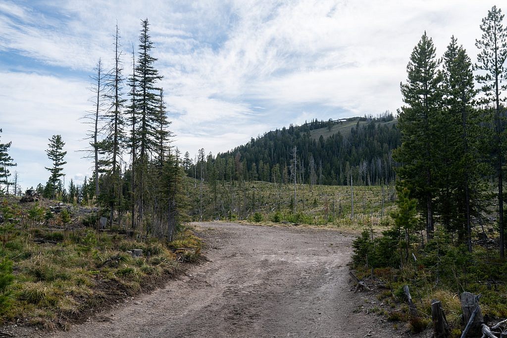 First view of Old Baldy. Here the road continues left but you’ll want to cross the open field to the right and then remerge with the road on the other side of the field.