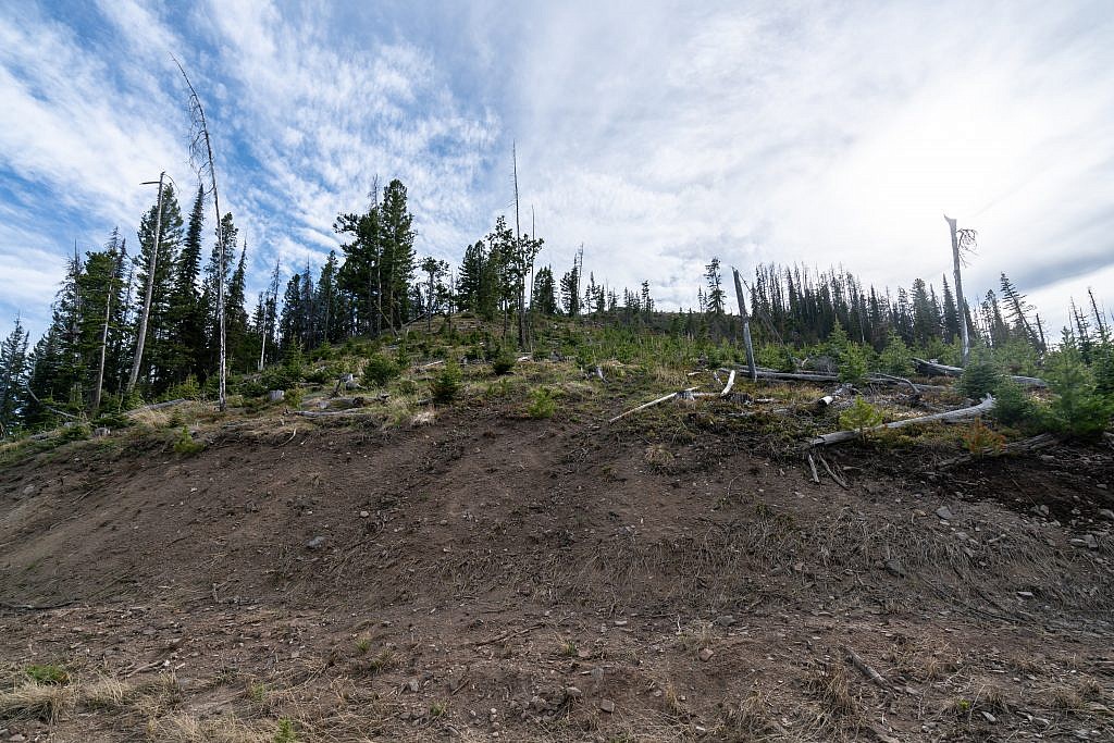 The northern slopes of Old Baldy. This is where I ditched the road and continued up the slopes all the way to the summit.