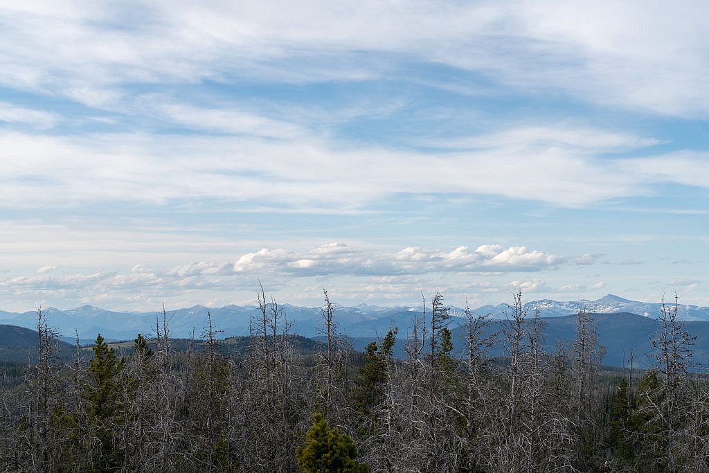 Looking north from the summit towards the Lewis and Clark Range. Red Mountain, the highpoint, is on the far right.