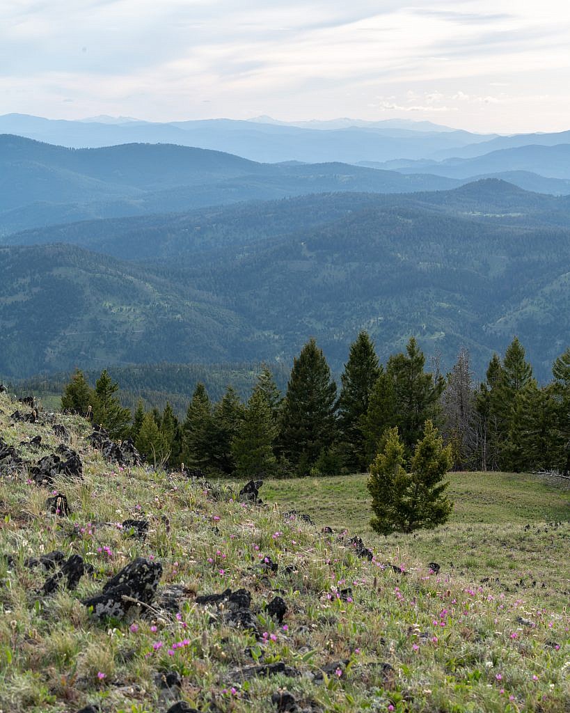 Looking west from the summit. Not entirely sure which range is in the distance but I’m guessing it’s either the John Long Mountains, Sapphires, or Bitterroots.