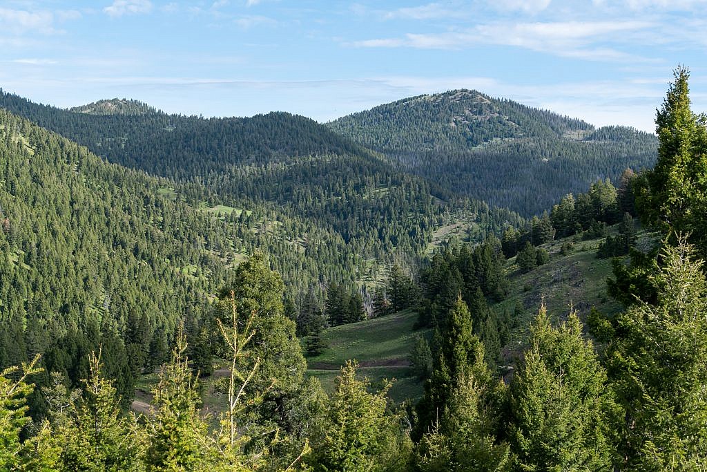 Old Baldy Mountain with the Brock Creek drainage in the foreground.