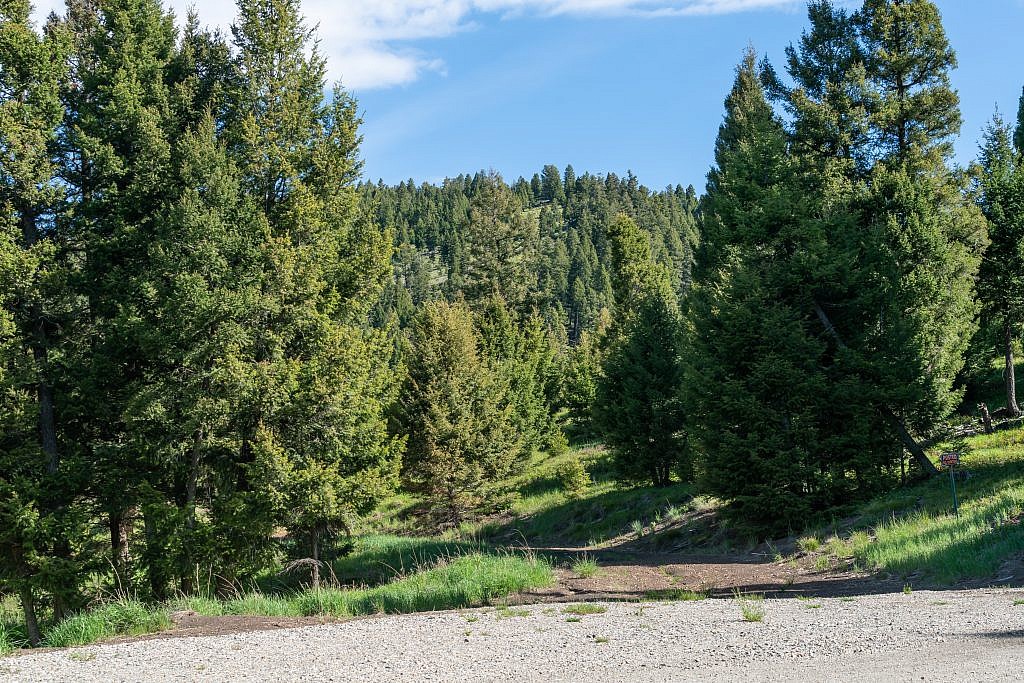 A possible alternate route. This is the point where the road leaves Brock Creek. Another road continues straight along the drainage which may provide access to the mountain from the south although some of the land is on private property.