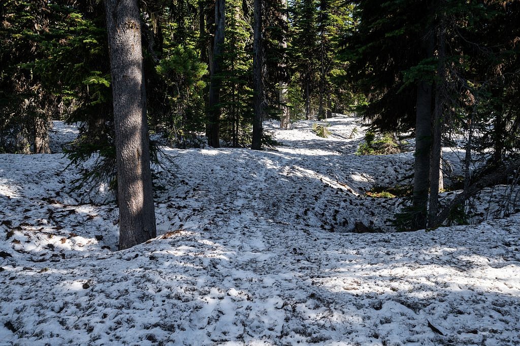 The whole area was completely covered with snow making the trail difficult to follow. Luckily the snow was cohesive enough to float over and there were even some fresh tracks in the snow that I could follow.