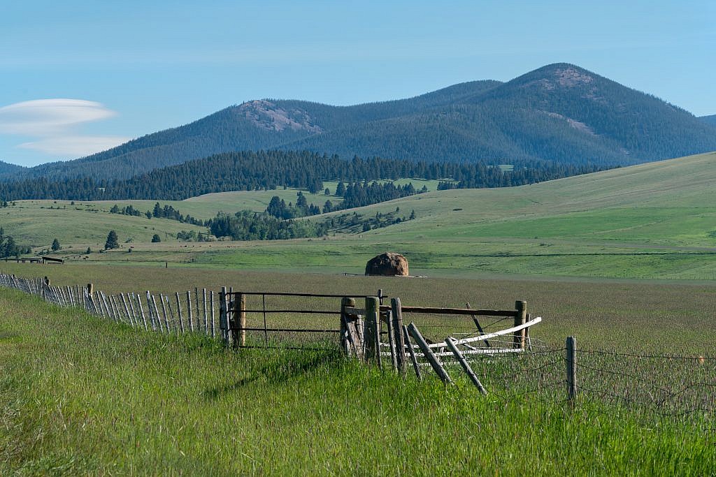 Approaching the mountains from the west. Notice the rounded haystack sitting in the field. The hay was piled up with a contraption known as a beaverslide. The beaverslide consists of a wooden structure with a ramp and a cage. Hay is pulled up the ramp which then falls off the edge into the cage where it can be stacked up to 30 ft. high. This device was invented around 1910 by David J. Stephens and Herbert S. Armitage in the Big Hole Valley. Although technology has rendered the beaverslide obsolete it is still used in the area to this day.