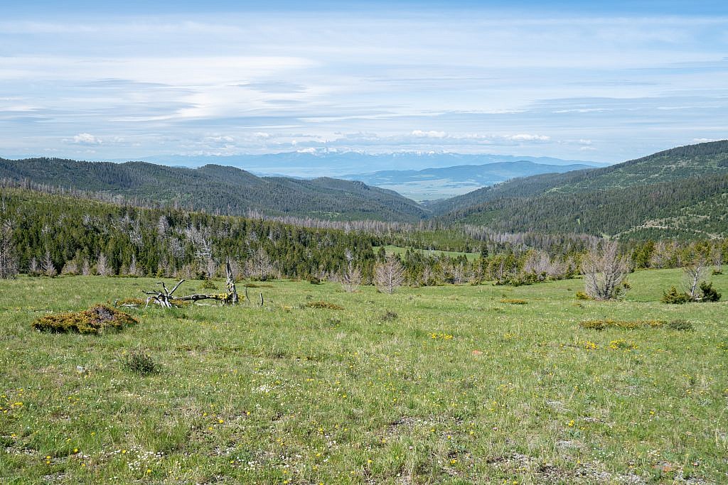 Looking west down the Ophir Creek drainage which you take to get to the trailhead. Flint Creek Range in the distance.