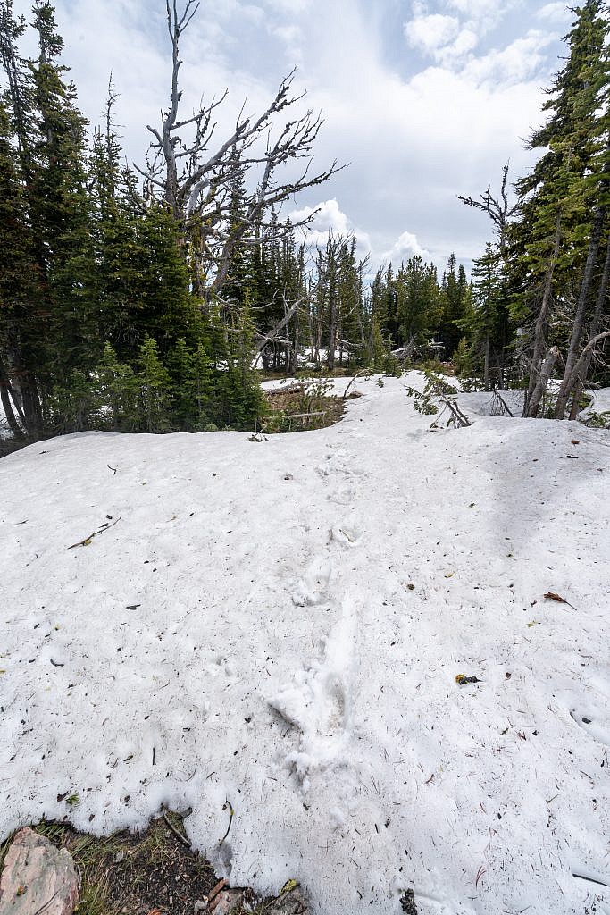 The few snow patches at the top didn’t cause me any trouble.