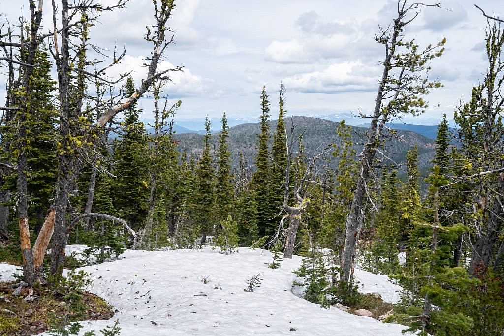 View of Nevada Mountain, the 2nd highest point in the range, from the summit. To get to Nevada return to the CDT and follow it north for another 4ish miles.