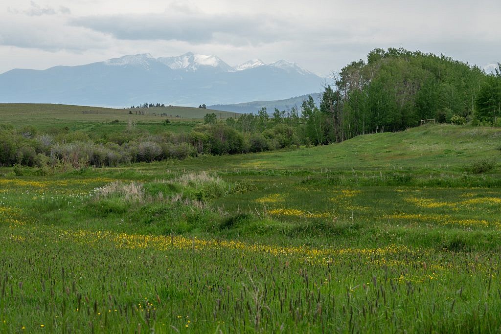 View of the Flint Creek Range on my way out.