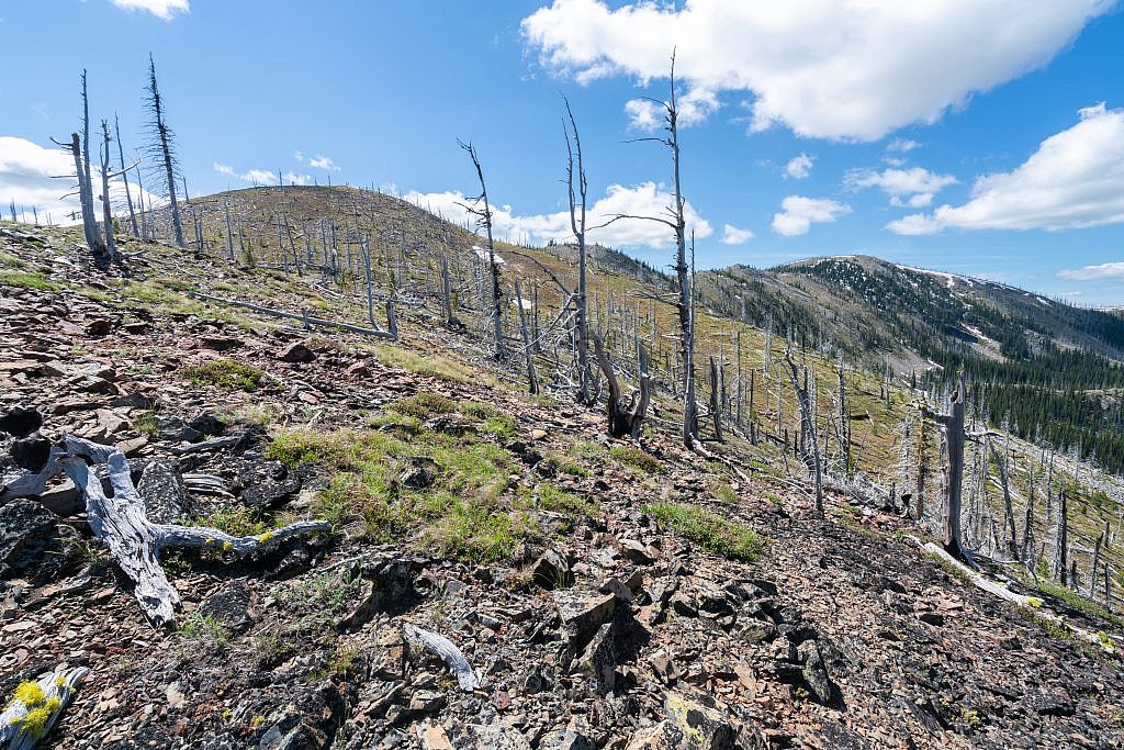 The off-trail section along the ridge is very scenic and pleasant trek. There are a few short talus scrambles but the terrain is easily navigable. I recommend sticking to the top of the ridge and enduring a few extra ups and downs for the extra scenery.