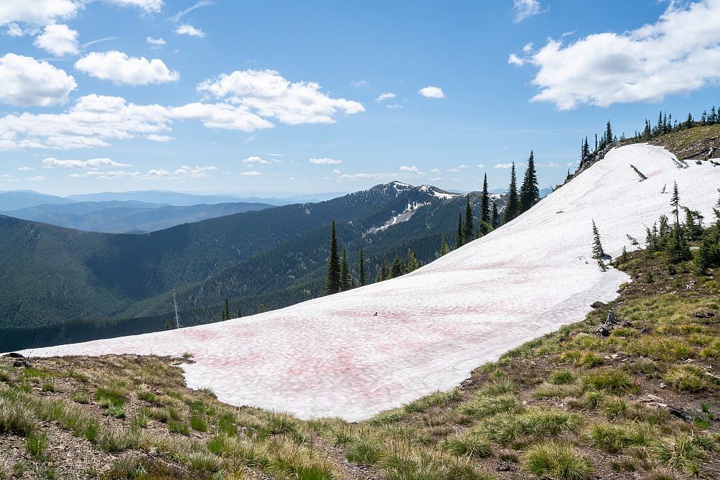 There were just a few patches of snow along the way. This one was covered in watermelon snow, a kind of green algae. Penrose Peak in the background.