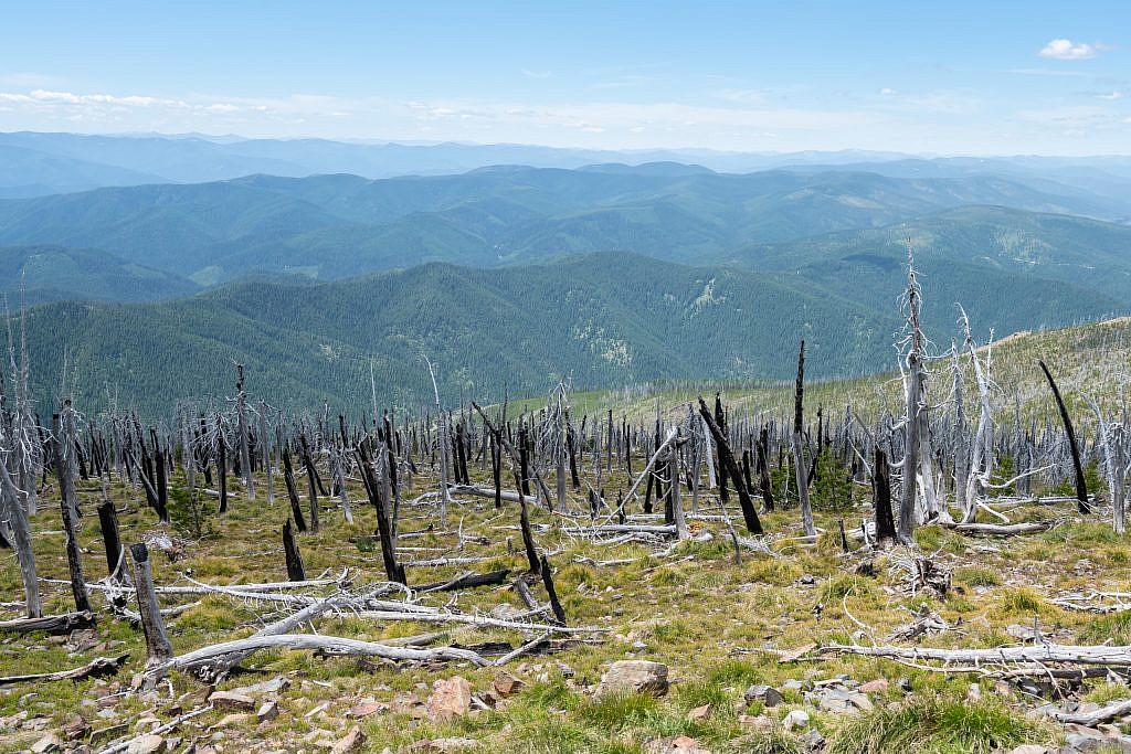 Looking west from the summit over the Cour d’Alene Mountains. The vastness of the Bitterroot Range is mind-boggling.