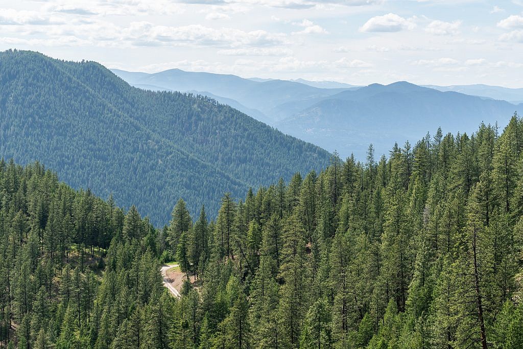 Looking west from the road.