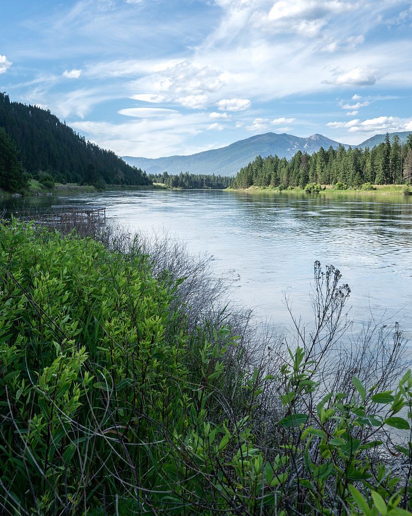 Looking north along the Clark Fork River from near Thompson Falls. A road leads to Cougar Peak Lookout in the center right of the image. The higher point to the right of that poking above the treeline is Graves Peak. I believe a trail leads from the lookout to Graves. This looks like a lovely adventure for the future!