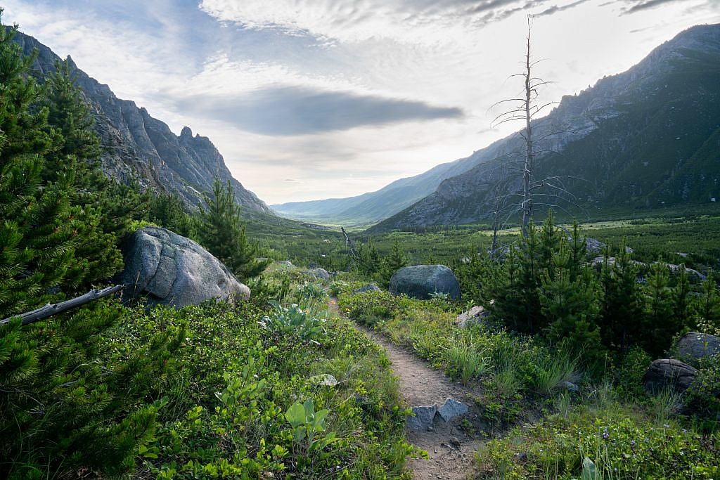 Looking northeast down the East Rosebud drainage.