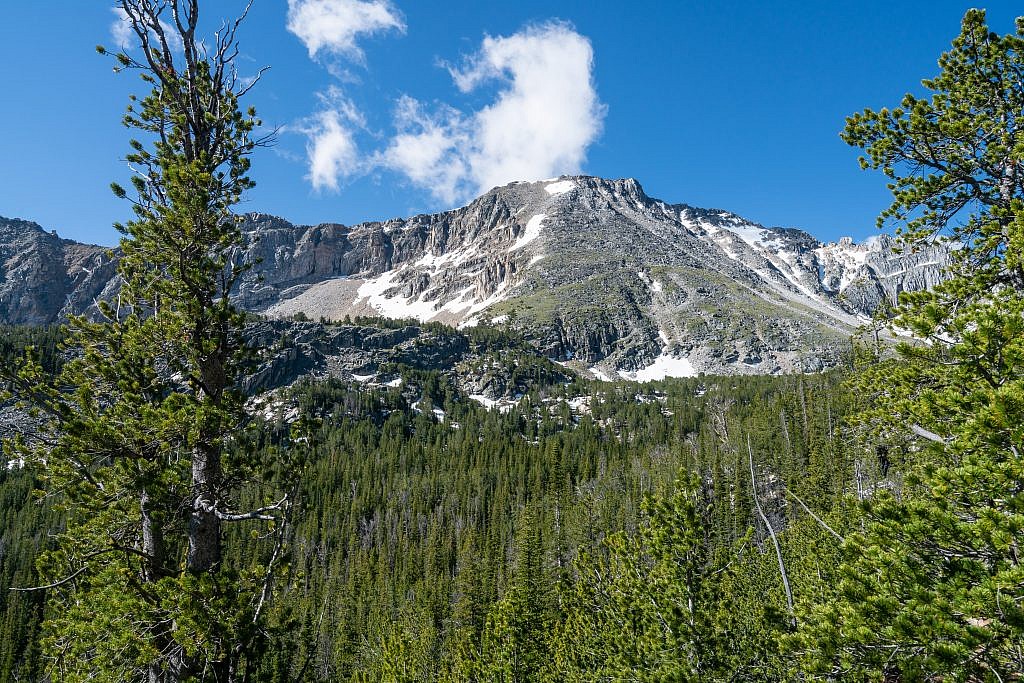 Tweedy Mountain.