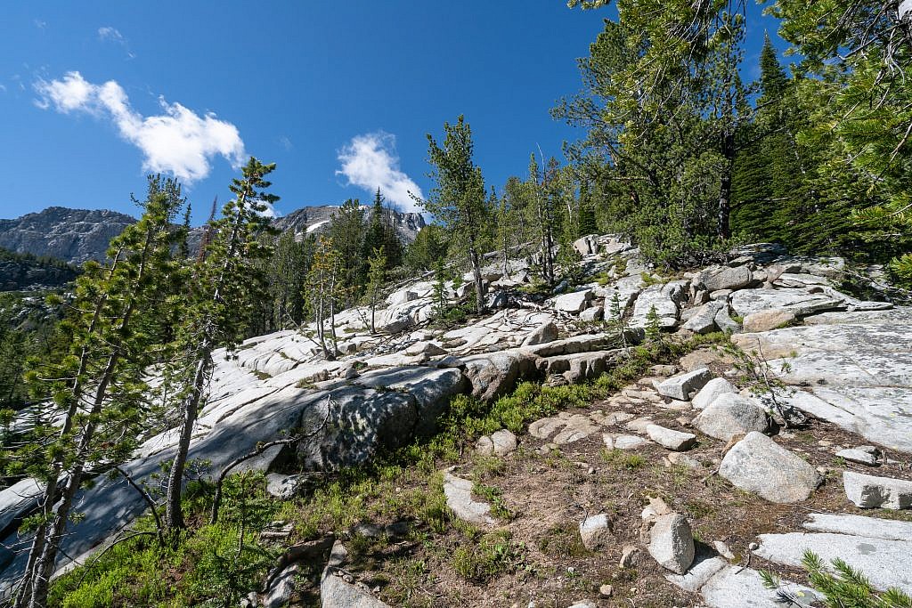 Working my way along a rocky section towards South Gorge Lake. The route is clear and simple with minimal bushwhacking.