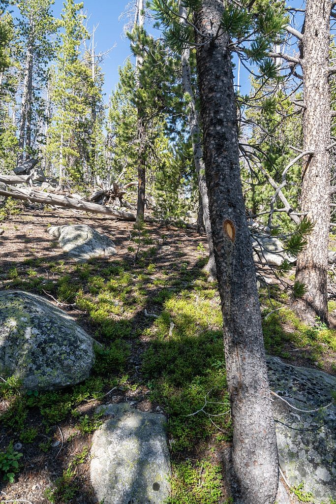 Working my way up to the flat spot southeast of the ridge. There were some random rock markers and blazes but they didn’t help much.